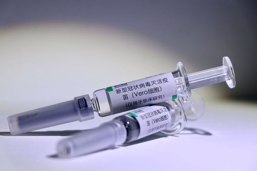 国药集团 新冠灭活疫苗有望今年底或明年初上市